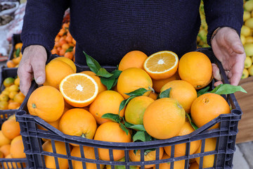 Box of ripe oranges in the hands of seller at vegetable fruits shop.