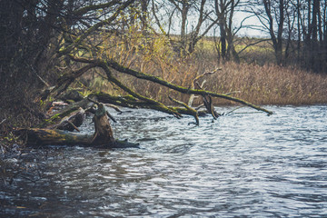Fototapeta premium View of the lake in autumn