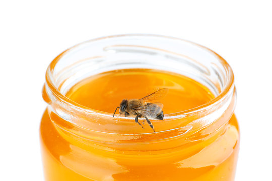 Jar of honey and bee on white background