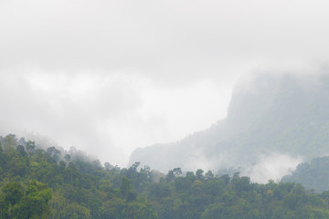 Fog Mountains after raining