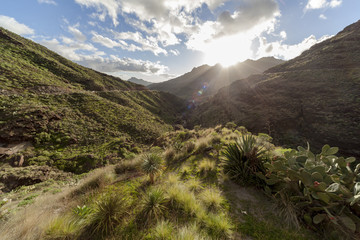 Sun shining in valley with barren vegetation