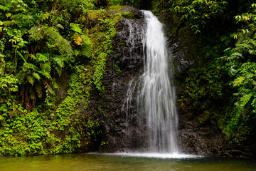 Wasserfall im Regenwald