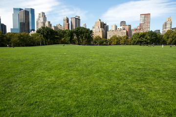 Central Park in New York