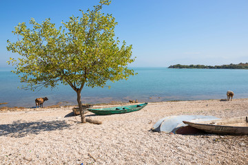 Amazing view on tranquil lake. Skadar Lake National Park, Montenegro
