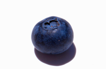 Blueberry. Close-up view of fresh Blueberries isolated on white background.