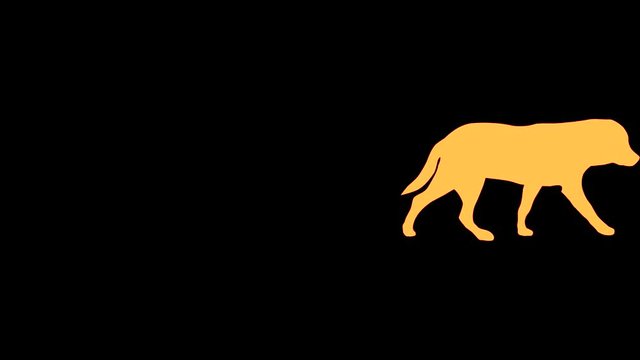 Silhouette of the yellow dog, animation