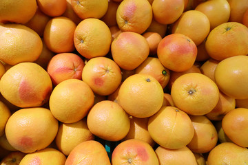 Many grapefruits on the counter in the market