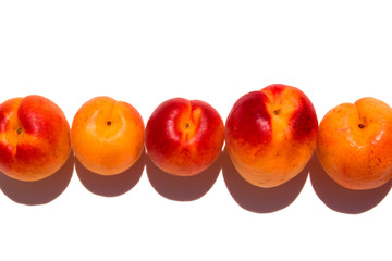 Apricot. Ripe apricots fruit isolated on a white.