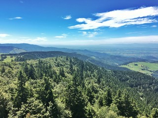 Sternwald Panoramablick