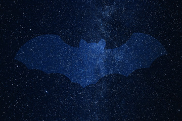 Obraz na płótnie Canvas Bat silhouette on background of Milky Way galaxy with glowing stars and planets in the universe. Space sky in the night.