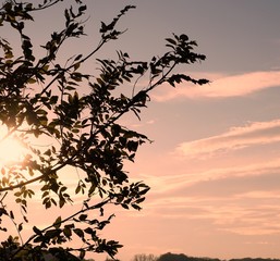 Afternoon sun is shining