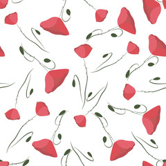 floral seamless pattern, poppies