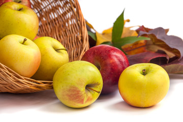 apples in a wicker basket on a white background.