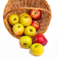 apples in a wicker basket on a white background.