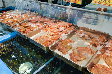 札幌卸売市場 場外市場の新鮮な魚介類