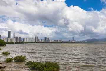Fototapeta premium Skyline of Shenzhen city from the Shenzhen bay