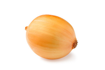 One yellow onion isolated on white background