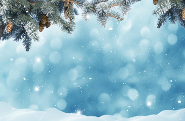 Christmas background with fir tree branch.Winter landscape