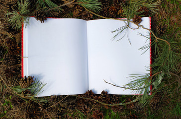 Mockup concept with pine branches and cones. The blank white sketchbook on the rustic background with natural decorations. © oksenoyd_irina