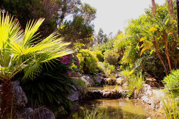 Park. Tropical park in Marbella city. Costa del Sol, Andalusia, Spain.