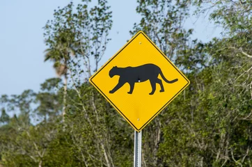 Abwaschbare Fototapete Puma Straßenschild, Florida Puma, Florida Panther, Puma Concolor Coryi, Florida, USA