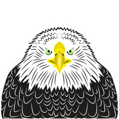 Vector eagle image for retro logos, emblems, badges, labels template vintage design element. Isolated on white background