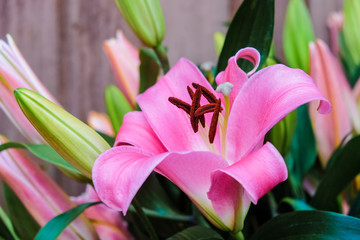 Beautiful bouquet of fresh pink lilies