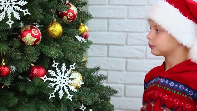 Cute little white kid decorates big green holiday tree for Christmas party. Real time full hd video footage.