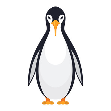 Standing penguin bird