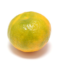tangerine isolated on whit