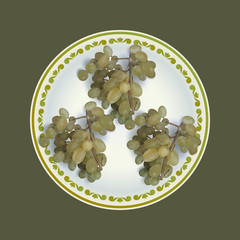 White grapes bunches on plate vector illustration