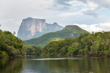 View of Uripica and Autana mounts, in Amazonas state, in southern Venezuela