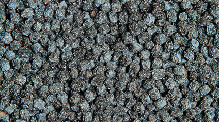 Texture of dried black aronia berries