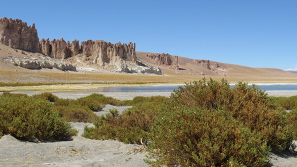 Cathedral of Tara Atacama