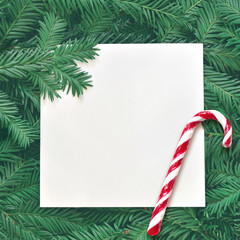 Fototapeta na wymiar Creative background of pine branch with white paper card. New Year and Merry Christmas Concept.