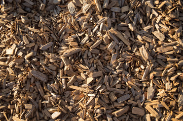 Wood Chips at a Playground