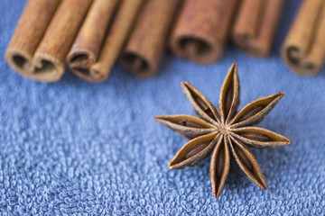 Spices: star anise and cinnamon sticks on blue background. Close-up. Blur.
