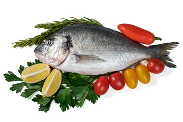 Raw fresh dorado fish with vegetables. Healthy food. Isolated on white background.