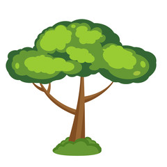 &Aacute;rbol como recurso gr&aacute;fico