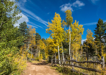 Colorado Fall