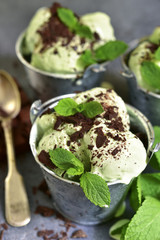 Homemade mint ice cream with chocolate.