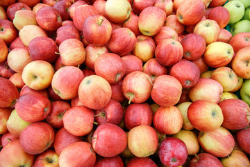 Red ripe apples on the counter market