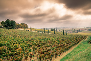 Fototapeta na wymiar Autumn sunset on vineyards around Saint-Emilion with hills grapes and trees