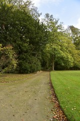 Fototapeta na wymiar Chemin le long des arbres de collection au Jardin Botanique National de Belgique à Meise