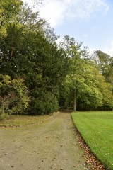 Fototapeta na wymiar Chemin le long des arbres de collection au Jardin Botanique National de Belgique à Meise