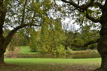 Les arbres parfois majestueux au bout de l'étang de l'Orangerie au Jardin Botanique National de Belgique
