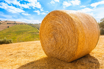 Italy Landscape View with Clouds on Blue sky, Italian Fields with Hay Bales