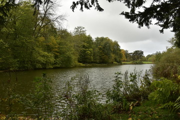 La végétation autour de l'étang de l'Orangerie en automne sous la pluie au Jardin Botanique National de Belgique à Meise
