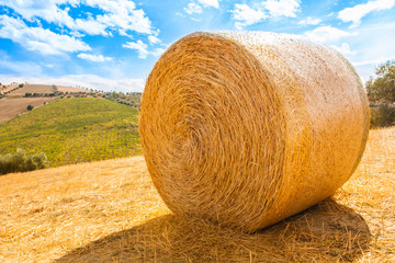 Italy Landscape View with Clouds on Blue sky, Italian Fields with Hay Bales
