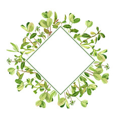 Fototapeta premium template with drawing clover leaves